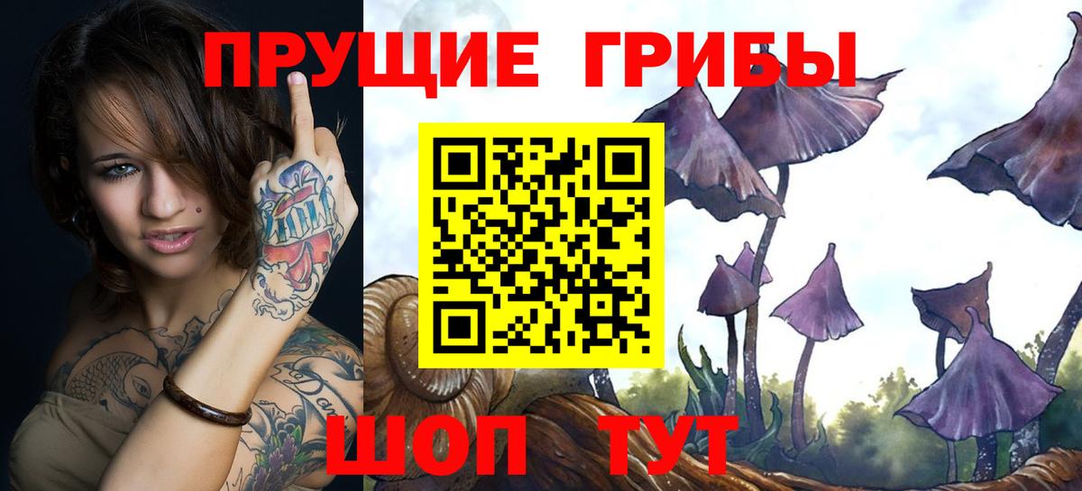 Псилоцибиновые грибы MAGIC MUSHROOMS  Вход с VPN  Псилоцибиновые грибы Psilocybine cubensis  Иркутск 