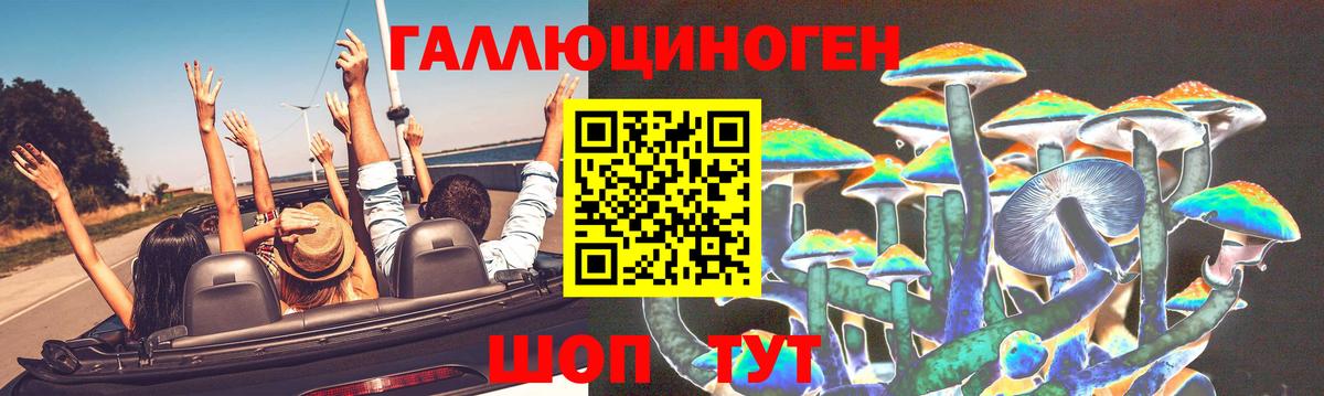 Галлюциногенные грибы Psilocybe Иркутск